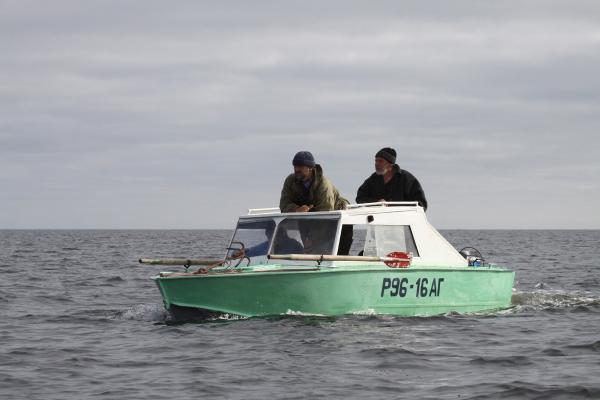 Орнитологическая экспедиция на переходе между островами Онежской губы Белого моря. 2011 год.